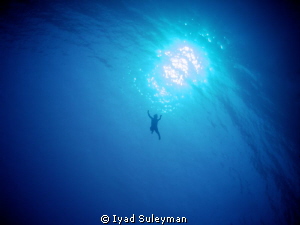 Unexpoected swimmer afloat by Iyad Suleyman 